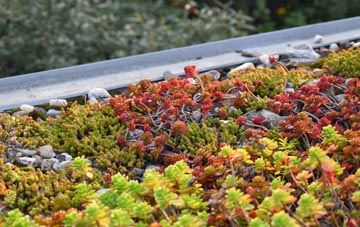 the cost of Little Witley green roof installation