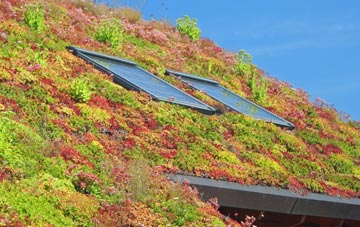 Little Witley living roof systems